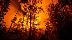 První týden hašení požáru v národním parku České Švýcarsko | na serveru Lidovky.cz | aktuální zprávy