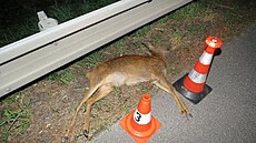 Nehoda voz� Volkswagen a Mercedes-Benz u T�ebechovic pod Orebem (8. 8. 2022)