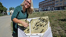 Ta�ána Kicová z technického ú�adu Magistrátu m�sta Plzn� ukazuje na modelu...