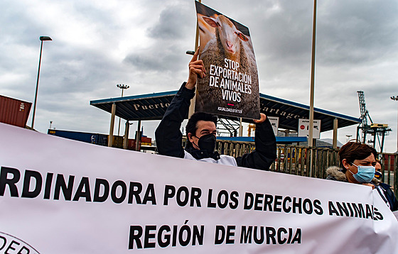 Lidé protestují proti surovému zacházení se zvířaty ve španělském přístavu...