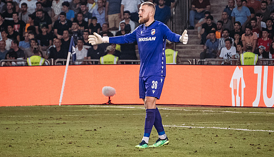 Plzeský branká Jindich Stank bhem úvodního utkání play off Ligy mistr na...