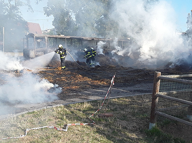 U zooparku ve Vykov shoely ve stedu balíky slámy a autobus.