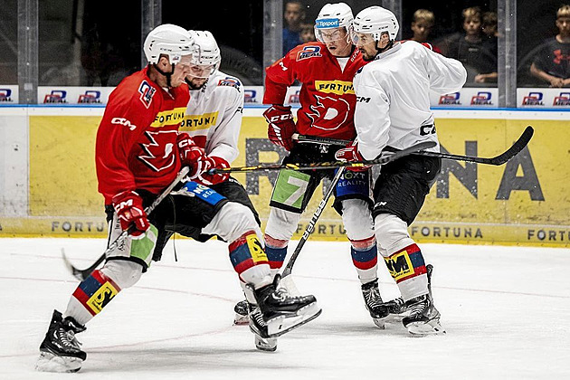 Boleslav přijede hrát ve vysokém tempu. Bude to dobrá prověrka, říká kouč Zadina