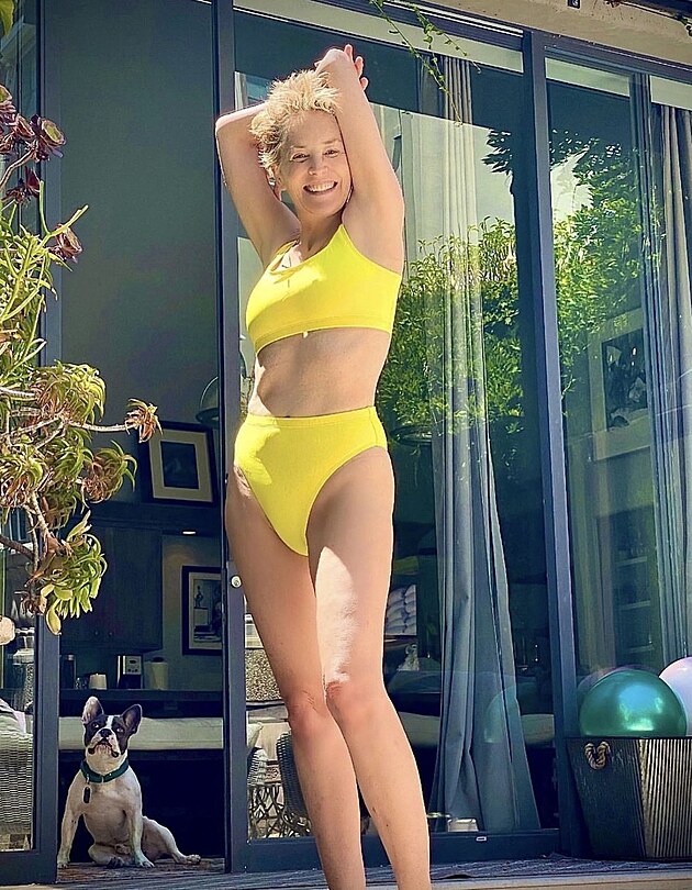 Hereka Sharon Stone zazila v optimistickm lutm modelu