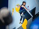 eská lezkyn Elika Adamovská drí zónu tvrtého boulderu na multisportovním...