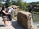Ostravská zoologická zahrada se pyní moderními pavilony pro makaky a gibony....