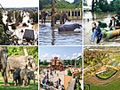 Praská Zoo bhem a po povodních