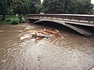 Povodn 2002: ofín
