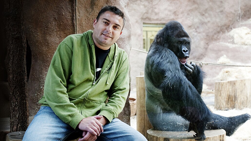 Marek dánský a gorilí samec Richard v praské zoo