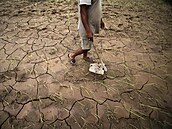Většinu Indie sužuje rekordní sucho.