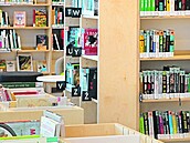 Češi patří k nejpilnější čtenářům v Evropě. Mají hustou síť veřejných knihoven.