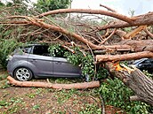 Velké škody napáchala bouře na francouzském ostrově Korsika. Tamní úřady hlásí...