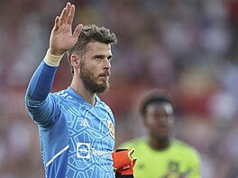 Branká� David de Gea se omlouvá fanou�k�m Manchesteru United za své chyby v...