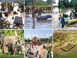 Praská Zoo bhem povodní v srpnu 2002 a dnes, po dvaceti letech