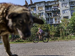 Cyklista a toulavý pes projíždějí kolem poškozeného obytného domu po květnovém...