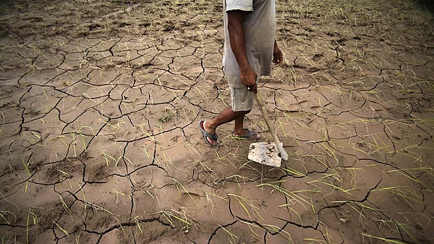 Vtinu Indie suuje rekordn sucho.