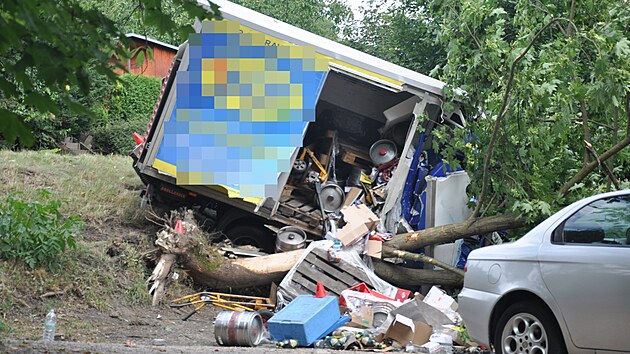 Dodvka sjela ze silnice, perazila strom a zstala stl ve svahu.