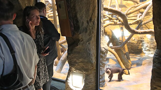 Ostravská zoologická zahrada se pyšní moderními pavilony pro makaky a gibony. (15. srpna 2022)