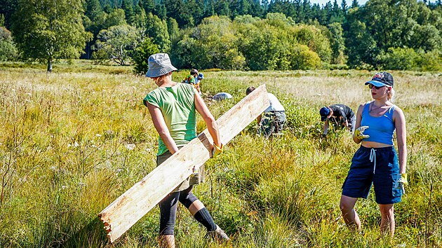 Na místo bylo třeba donést desítky dřevěných latí, které dobrovolníci využili na stavbu hrází zadržujících vodu v rašeliništi.