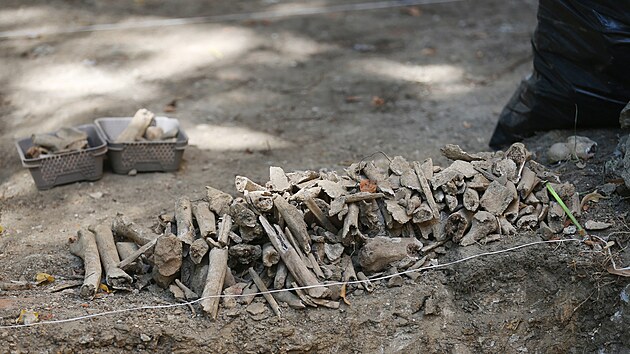 Na mst starho hbitova u kostela nali archeologov pomrn dost kosternch pozstatk. Ve vrchnch vrstvch byly spe sekundrn pemstn - kosti do nich byly nahrnuty pi pravch hrob i jejich roziovn v dvn minulosti.