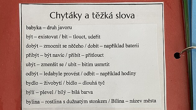 Materiály tvoří Tereza Jadrná tak, aby se děti naučily i ty největší záludnosti českého jazyka. (17. srpna 2022)