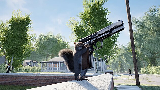 Squirrel with a Gun