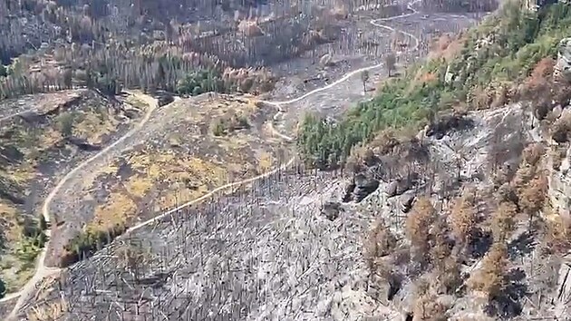 Záběry na shořelý Národní park v Českém Švýcarsku z policejního vrtulníku.