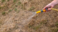 Ne� za�nete se zálivkou, m�li byste trávník vyhrabat od sta�iny.