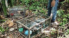 Zabavení loskutáci