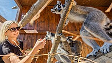 Rodinný ran� v Bítovanech s exotickými i domácími zví�aty vede jeho majitelka...