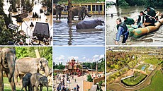 Praská Zoo bhem povodní v srpnu 2002 a dnes, po dvaceti letech