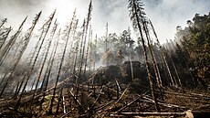 Požár v Národním parku České Švýcarsko (28. července 2022)