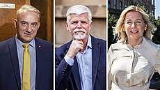 Josef St�edula, Petr Pavel a Danu�e Nerudová