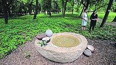 Les vzpomínek na �áblickém h�bitov�.