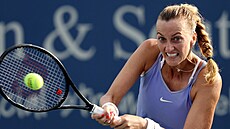 Česká tenistka Petra Kvitová v duelu s Jil Belen Teichmannovou ze Švýcarska.