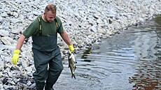 Za důvod úhynu ryb v polské části řeky Odra se považuje znečištění rtutí. (12.... | na serveru Lidovky.cz | aktuální zprávy