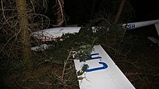 Srážka dvou bezmotorových letadel na Tachovsku. Jeden větroň skončil v lese,...
