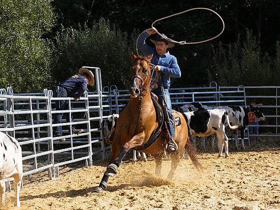 Léto v Borov zakoní americkým rodeem a staroeskými doínkami