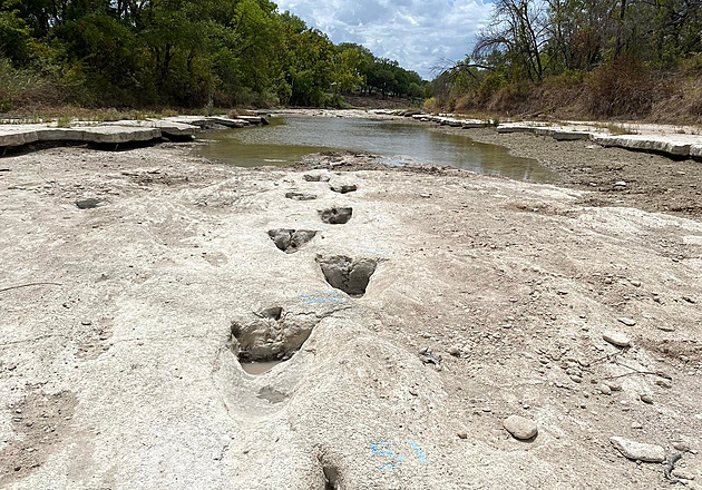 Sucho v Texasu odhalilo v korytě řeky dinosauří stopy staré 113 milionů let