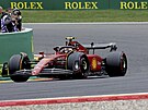 Carlos Sainz ze panlska bhem kvalifikace ped Velkou cenou formule 1 na...