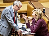 Politický matador Marek Benda aktivn� debatuje jak s poslankyní za stranu ANO...