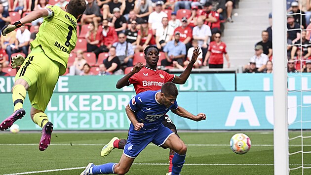 Andrej Kramari z Hoffenheimu (v modrm) stl hlavou gl v utkn proti Leverkusenu.