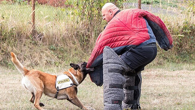 P�ijmeme nov� posily