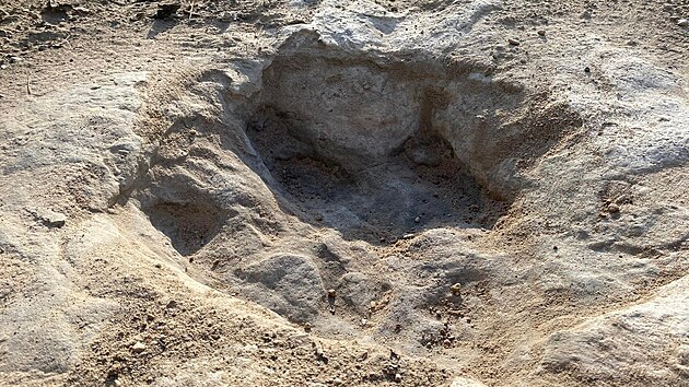 Letošní vytrvalé sucho v texaském státním parku Dinosaur Valley odhalilo dinosauří stopy staré zhruba 113 milionů let. (23. srpna 2022)