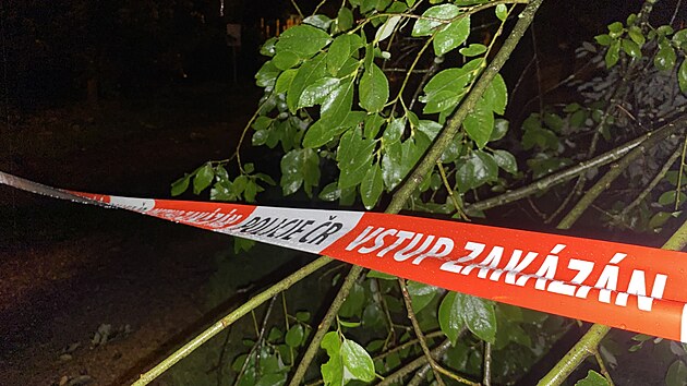 Poblíž fotbalového stadionu U Nisy v Liberci zemřel při bouřce muž, na kterého spadl strom. (26. srpna 2022)