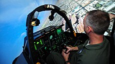 Trenaér letounu A-10 na letecké základn Moody v Georgii. Trenaér pouívá...