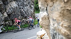 Cyklisté v osmé etap Vuelty. ervený dres nosí lídr celkového poadí Remco...