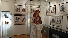 Výstava vnovaná Wilhelmu Hornovi bude v Matálkov síni v eskolipském muzeu...