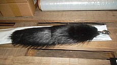 Zajímavou nabídkou blí�ící se aukce je anální kolík s ohonem. (26. srpna 2022)