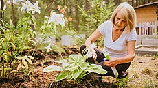 Plísn� na rostlinách p�id�lávají vrásky nejednomu zahrádká�i. Lze s nimi...